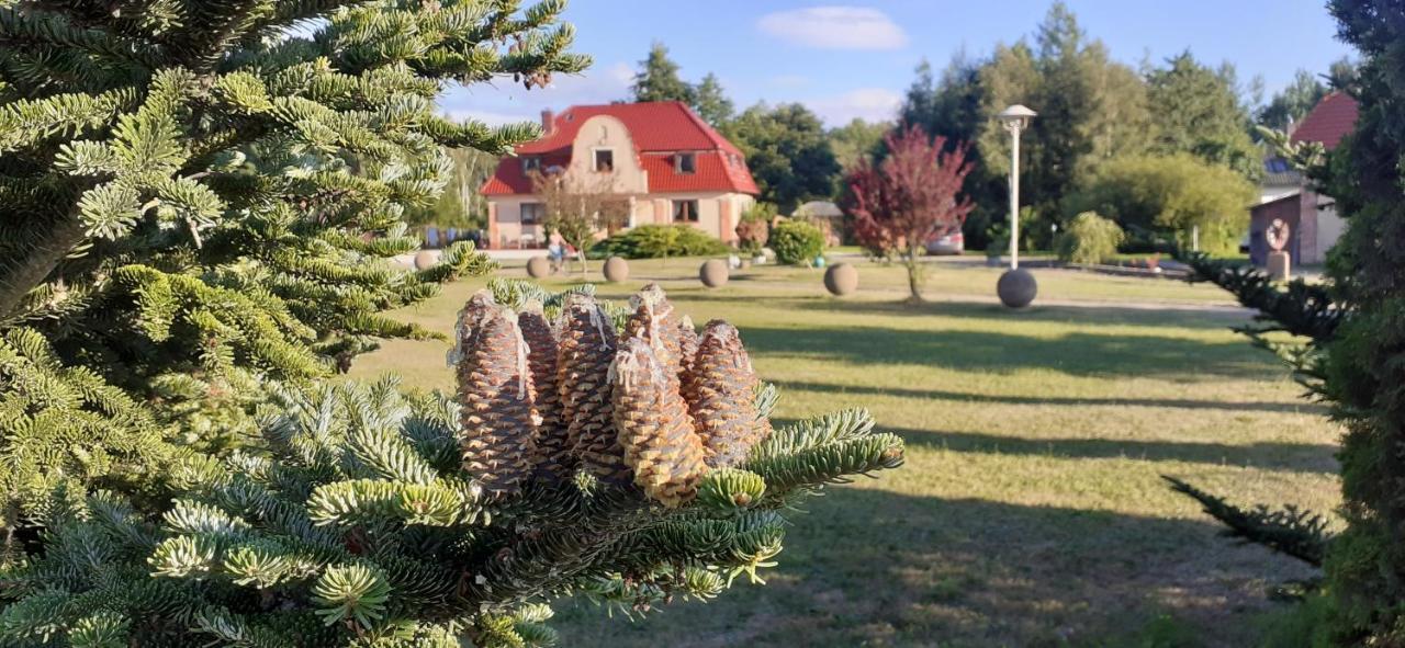 Sielanka - Domki I Pokoje Pod Leba Zarnowska Exterior foto