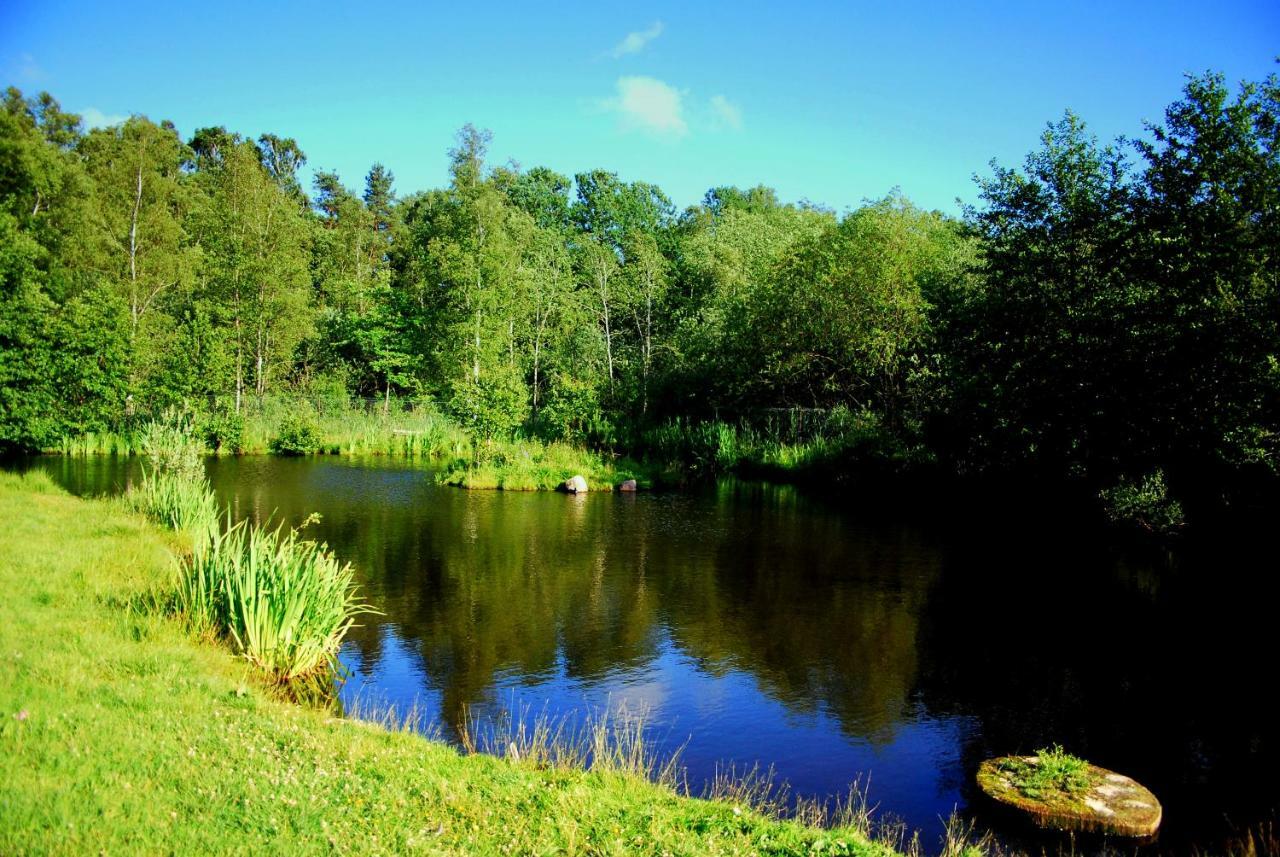 Sielanka - Domki I Pokoje Pod Leba Zarnowska Exterior foto